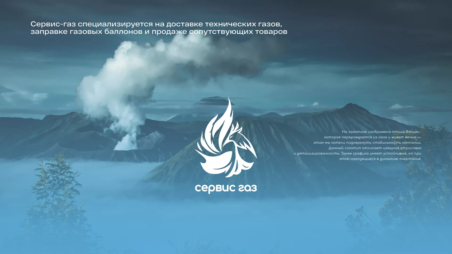 Создание сайта компании «Сервис газ»