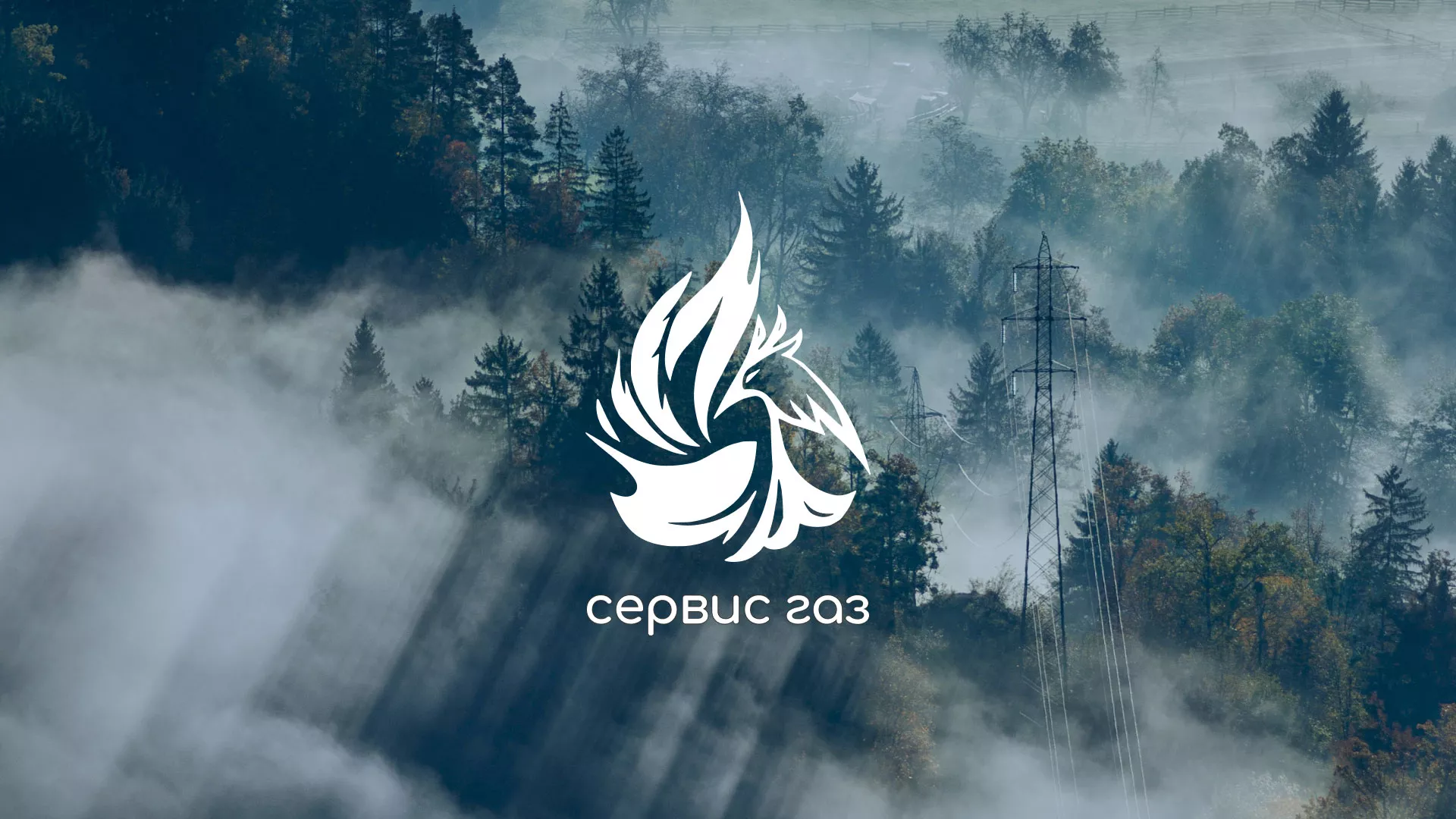 Создание сайта компании «Сервис газ»