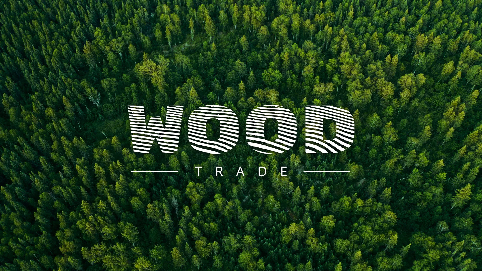 Разработка интернет-магазина компании «Wood Trade»