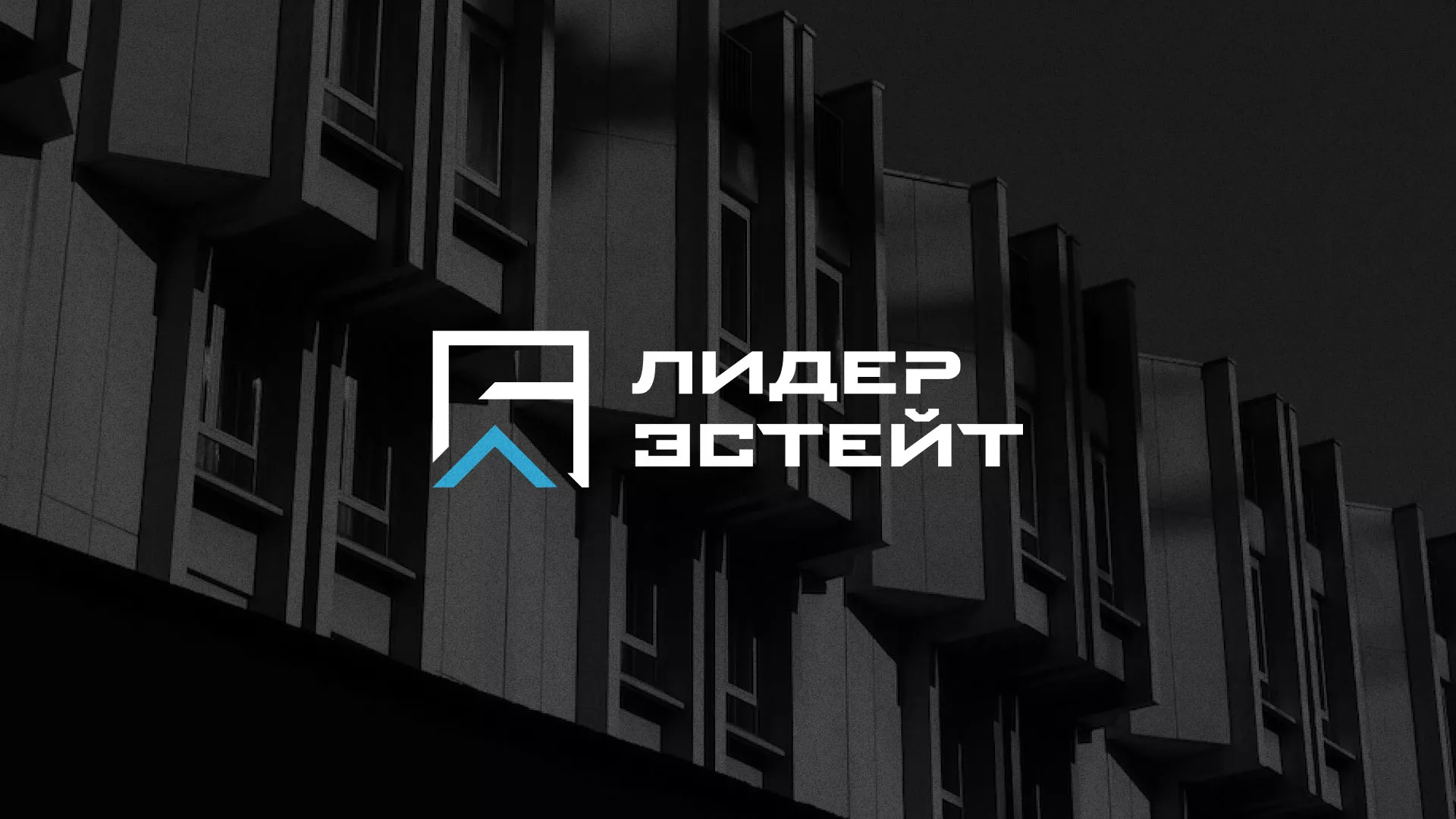Разработка логотипа агентства недвижимости «Лидер Эстейт»
